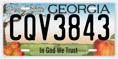 GA license plate CQV3843