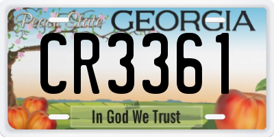 GA license plate CR3361