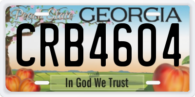 GA license plate CRB4604