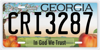 GA license plate CRI3287