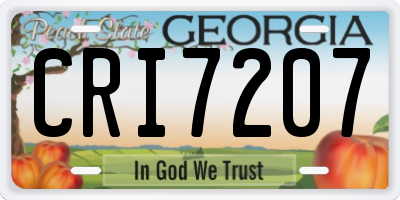GA license plate CRI7207