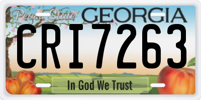 GA license plate CRI7263