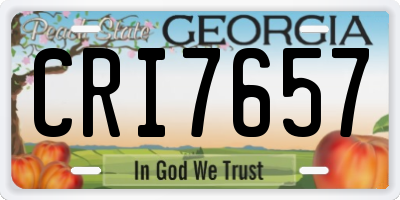 GA license plate CRI7657