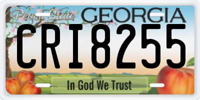 GA license plate CRI8255