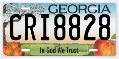 GA license plate CRI8828