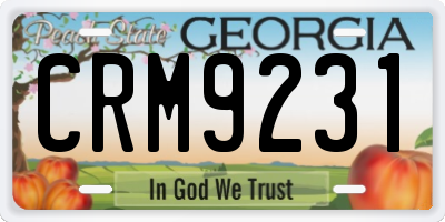 GA license plate CRM9231