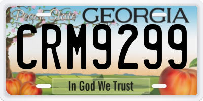 GA license plate CRM9299