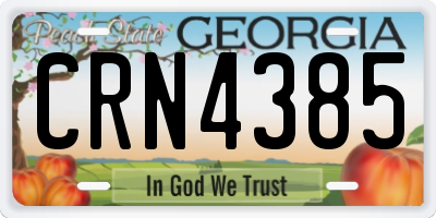 GA license plate CRN4385