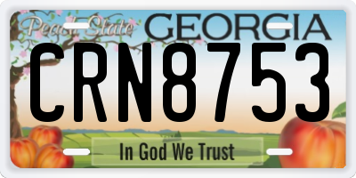 GA license plate CRN8753