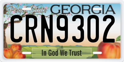 GA license plate CRN9302