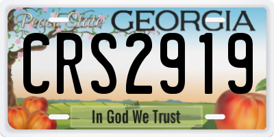 GA license plate CRS2919