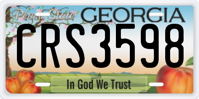 GA license plate CRS3598