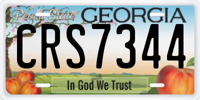 GA license plate CRS7344