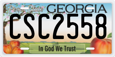 GA license plate CSC2558