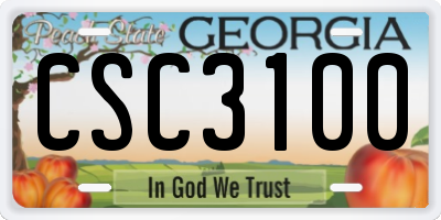 GA license plate CSC3100