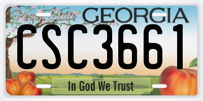 GA license plate CSC3661