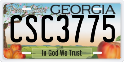 GA license plate CSC3775