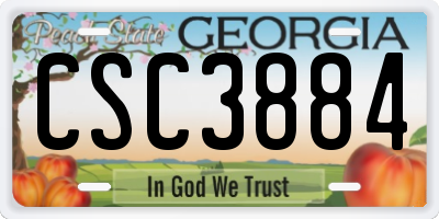 GA license plate CSC3884