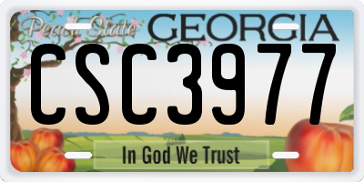 GA license plate CSC3977