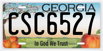 GA license plate CSC6527