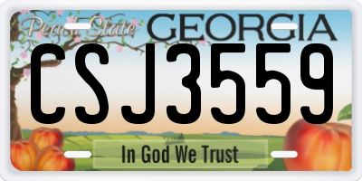 GA license plate CSJ3559