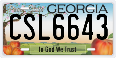 GA license plate CSL6643