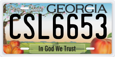 GA license plate CSL6653