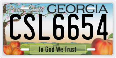 GA license plate CSL6654