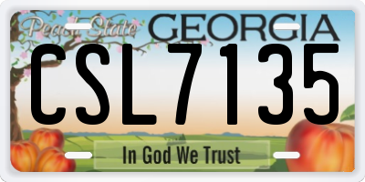 GA license plate CSL7135