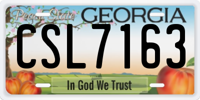 GA license plate CSL7163