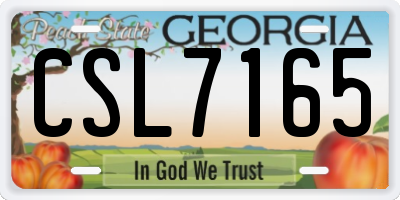 GA license plate CSL7165