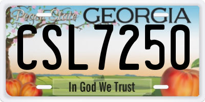 GA license plate CSL7250