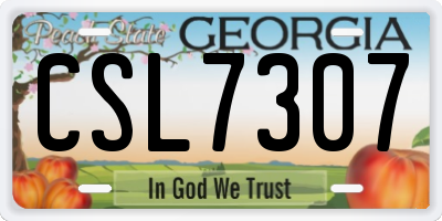 GA license plate CSL7307