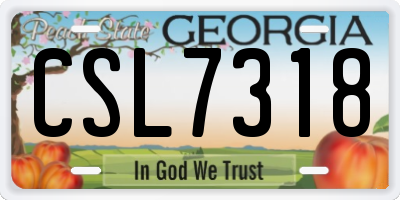 GA license plate CSL7318