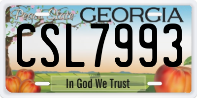GA license plate CSL7993