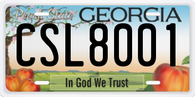 GA license plate CSL8001