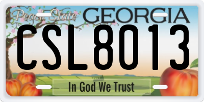 GA license plate CSL8013