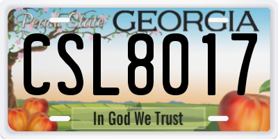 GA license plate CSL8017