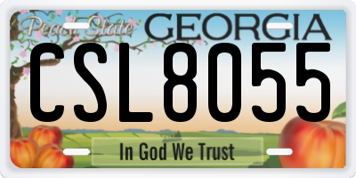 GA license plate CSL8055