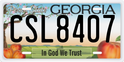GA license plate CSL8407
