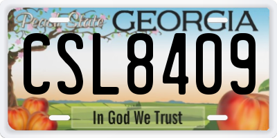 GA license plate CSL8409