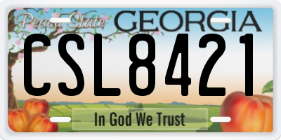GA license plate CSL8421