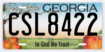 GA license plate CSL8422