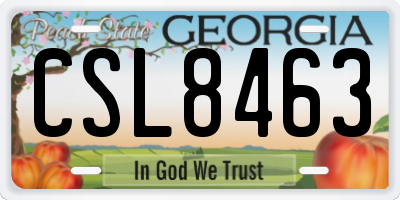 GA license plate CSL8463
