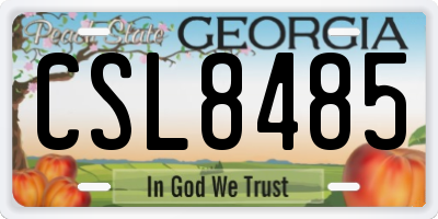 GA license plate CSL8485