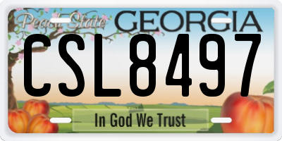 GA license plate CSL8497