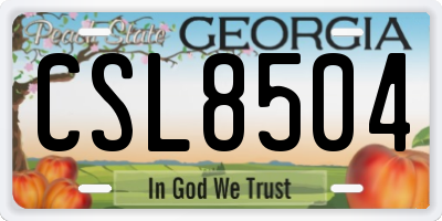 GA license plate CSL8504