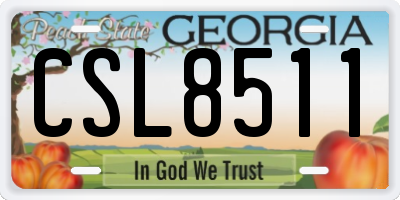 GA license plate CSL8511