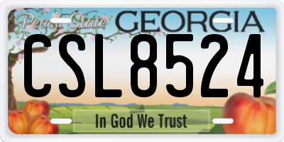 GA license plate CSL8524