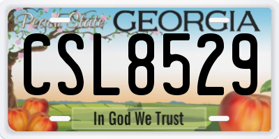 GA license plate CSL8529